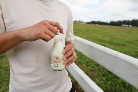 umm milk farm