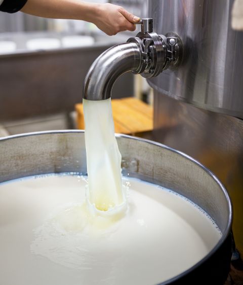 umm milk farm