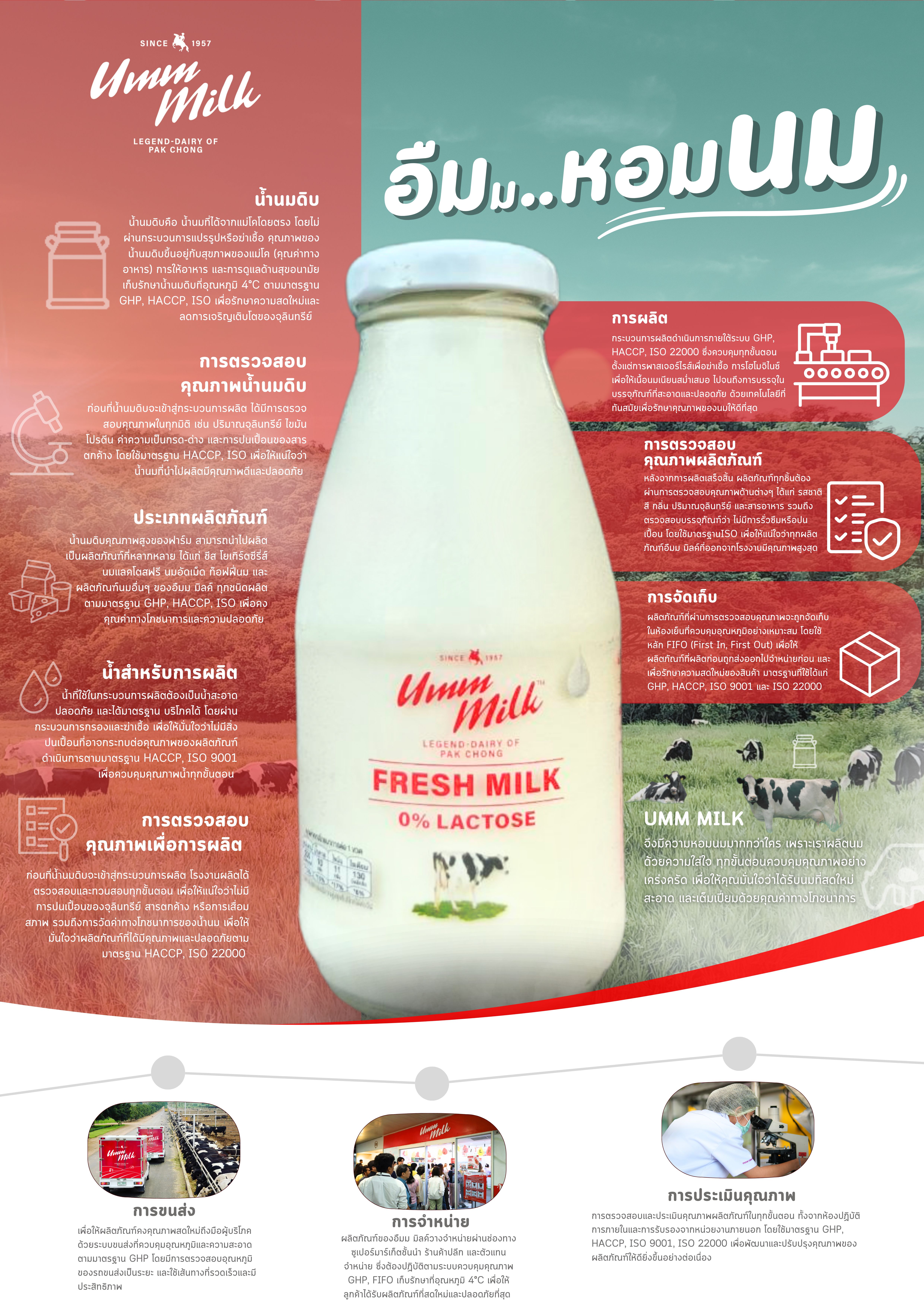 umm milk farm